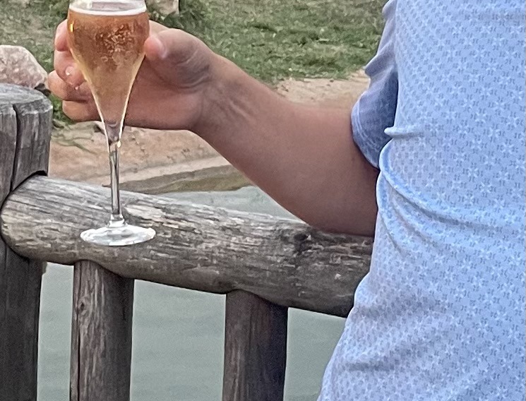 Profil de Doran, 48 ans, Escort gay à Cerniat FR