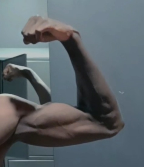 Profil de Parfait, 23 ans, Escort gay à Zuoz