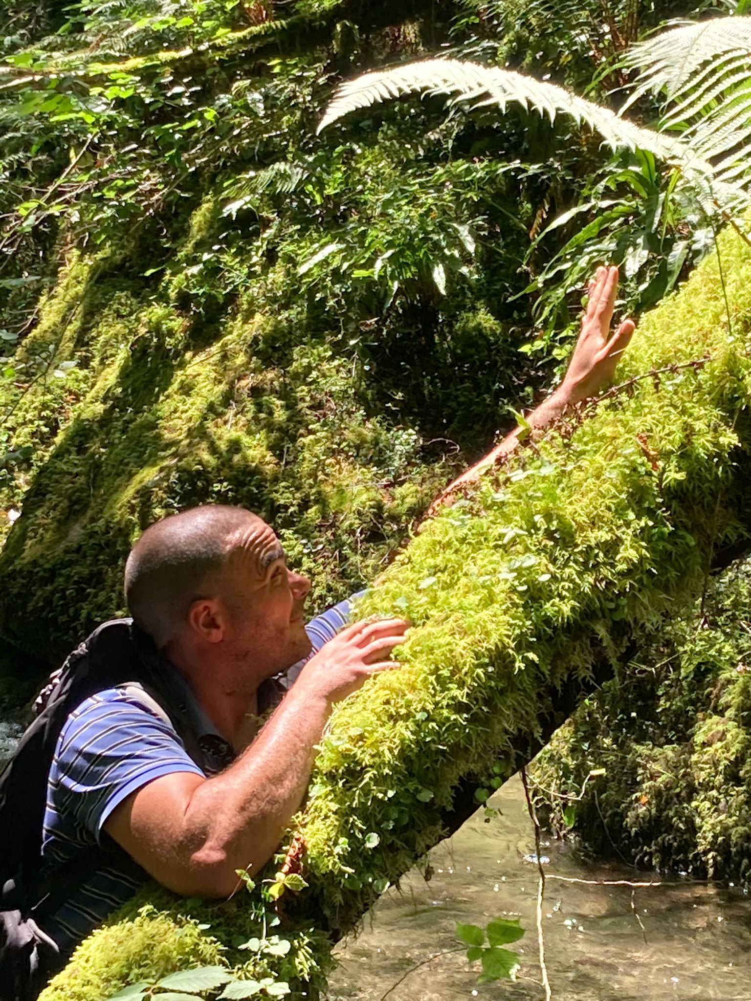 Profil de Nihad, 40 ans, Escort gay à Nussbaumen AG