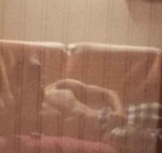 Profil de Tou, 22 ans, Escort gay à Trun