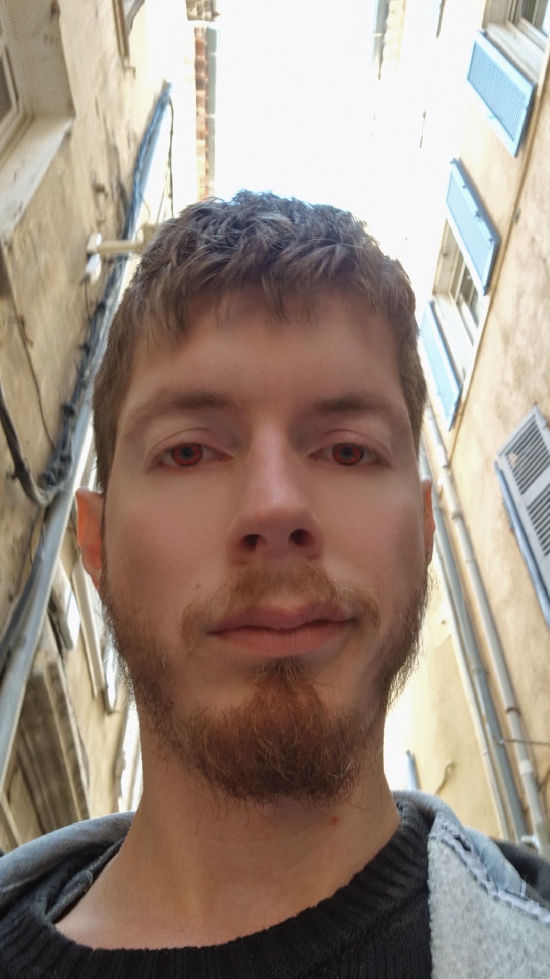 Profil de Wiltord, 30 ans, Escort gay à Werdenberg